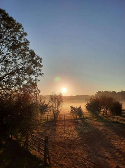 Een schilderachtige zonsopgang boven een nevelig landschap. Bomen en een hek omlijsten de scène.