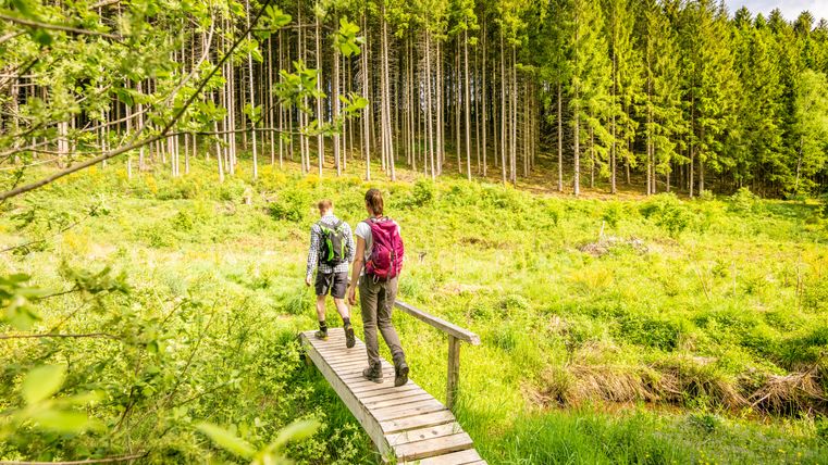 Twee wandelaars op een houten loopbrug in het bos.