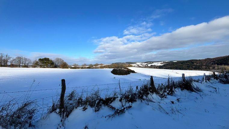 A wintry landscape with a snow-covered field and a clear blue sky. In the background, gentle hills and scattered trees can be seen.