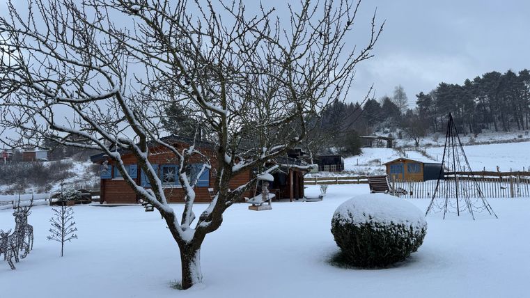 A snowy landscape with a tree in the foreground and a wooden house in the background. The sky is gray and the surroundings are quiet.