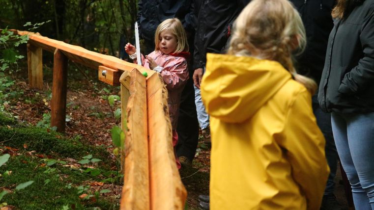Un enfant laisse une boule verte rouler sur la piste à billes en bois. En arrière-plan, la famille regarde.
