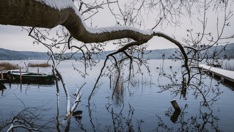Un lac calme avec des branches enneigées qui s'avancent dans l'eau. En arrière-plan, on voit des collines douces et un ciel gris.