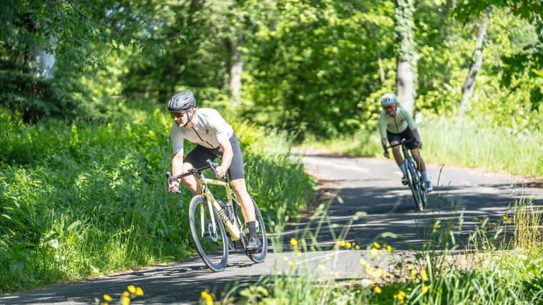 Two cyclists on a road through a forest.