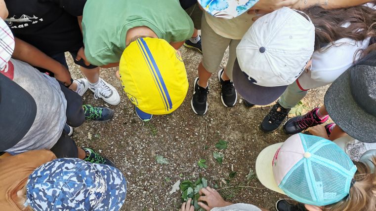 A group of children is standing in a circle and is attentively looking at the ground. They are wearing different hats and examining something in the soil.