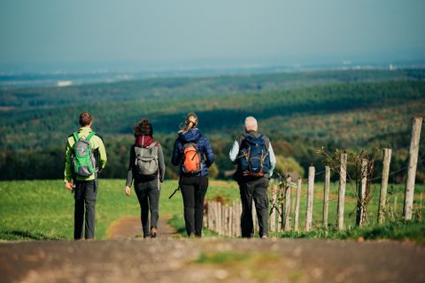 Een groep van vier wandelaars loopt een pad langs, omgeven door groene velden en een wijd uitzicht in de verte. De sfeer is ontspannen en de natuur is mooi.