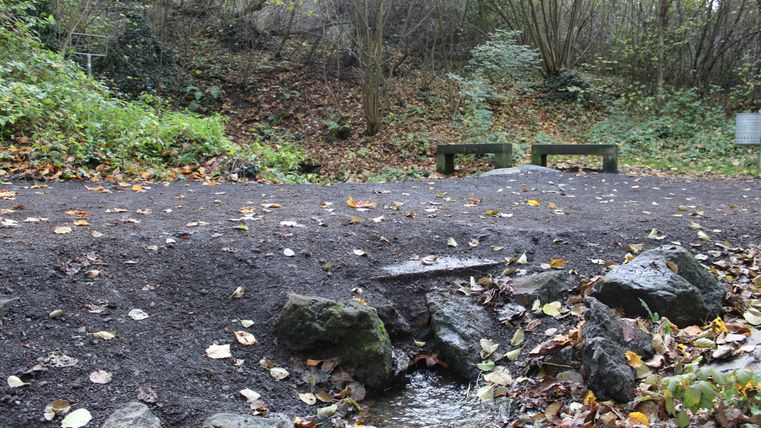 A spring, a path with stone benches and some shrubs in the background, colorful leaves on the ground