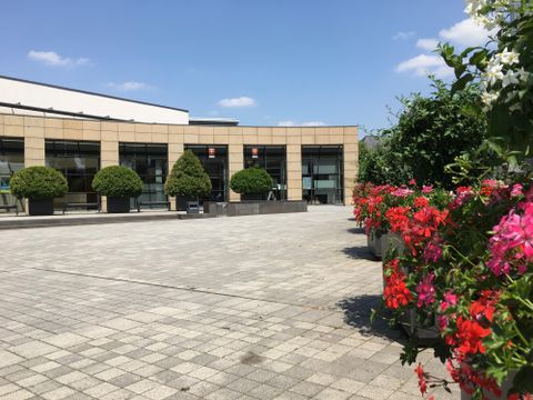A beautiful outdoor area with blooming plants and large green spaces. In the background, a modern building is visible under a clear sky.