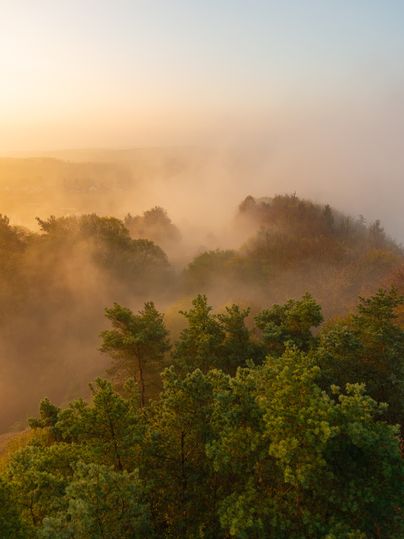 Sonnenaufgang über nebligen Hügeln und bewaldeter Landschaft