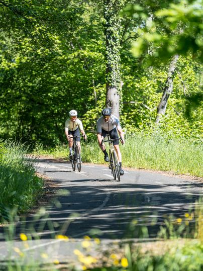 Two racing cyclists on a road through a forest.