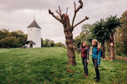 Deux femmes se tiennent dans une prairie devant une tour blanche entourée d'arbres.