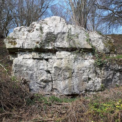 Een grote rotsblok met opengebroken oppervlak, omgeven door struiken en bomen. De lucht is blauw en helder.