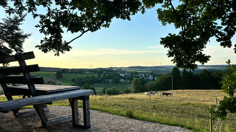 A wooden bench with a view of a green landscape and gentle hills. In the background, horses and a clear sky can be seen.