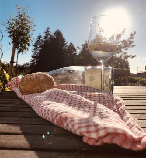 An outdoor table with a glass of wine and a roll on a checkered cloth. In the background, trees and a clear sky are visible.