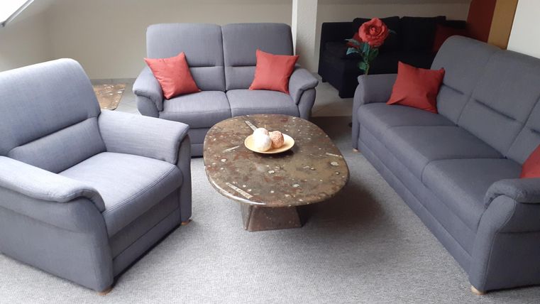 A modern living room with two gray sofas and a coffee table. On the table, there are some rolls and a plant decorates the room.