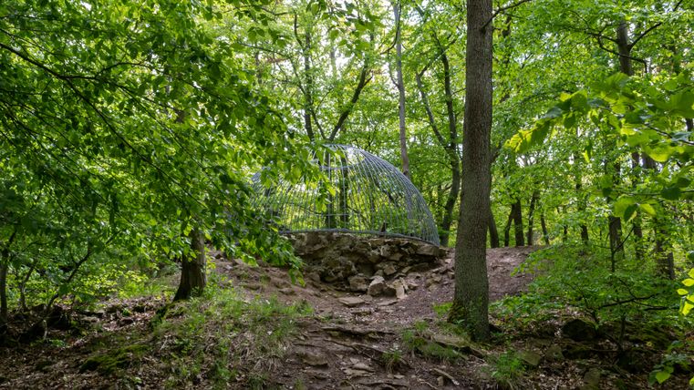 Metal structure in the forest on a hill.