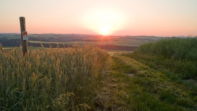 Zonsondergang over een veld bij Wierschem met een houten paal op de voorgrond.