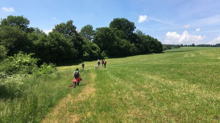 Gruppe von Menschen wandert über eine grüne Wiese unter blauem Himmel.
