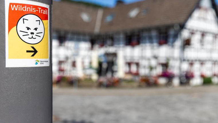 Een wegwijzer naar het Wildernistrail met een kattenmasker-symbool. Op de achtergrond is een traditioneel vakwerkhuis te zien.