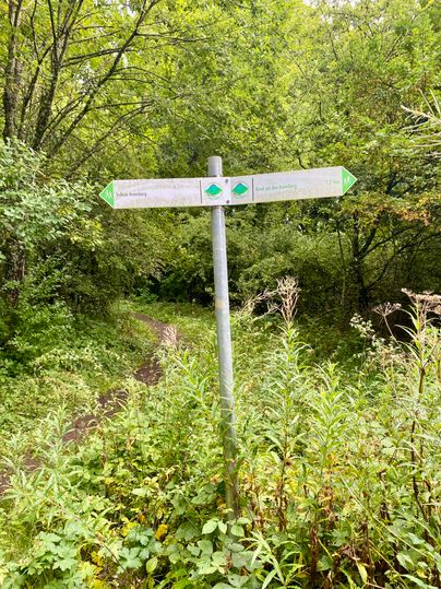Double-sided sign pointing to local hiking trails and to the Arensberg volcano.