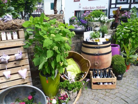 Een mooie tuinexpositie met verschillende planten, potten en bloemen. Houten planken en een wijnvatdecoratie zorgen voor een uitnodigende sfeer.
