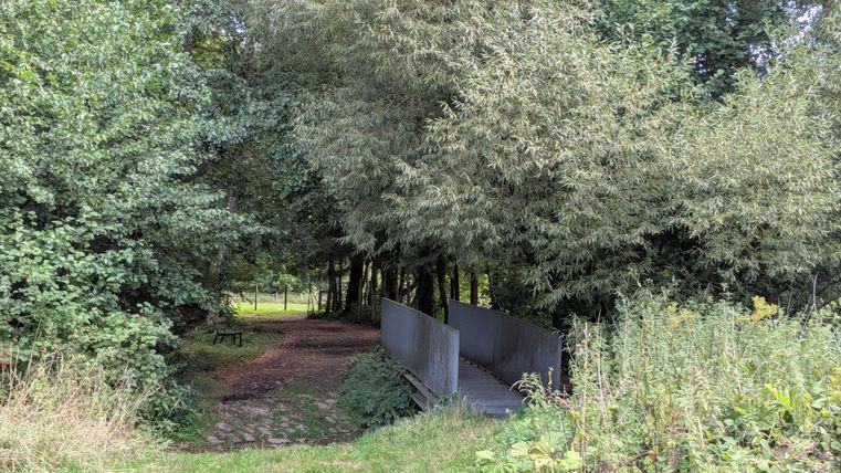 Ein schmaler Pfad führt durch dichtes Grün. Auf der rechten Seite ist eine kleine Brücke sichtbar.
