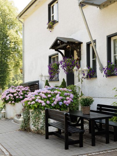 Un espace extérieur accueillant avec une table et des chaises. Des hortensias colorés fleurissent devant une maison blanche.