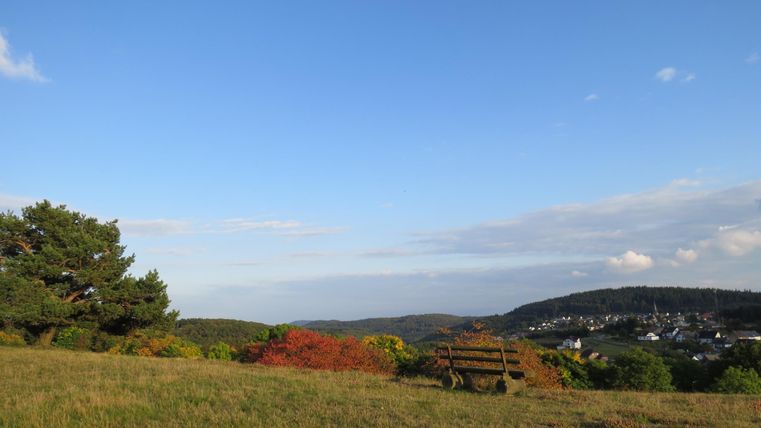 Landschaft mit Wiese, Bäumen und einer Bank im Vordergrund, Dorf im Hintergrund.