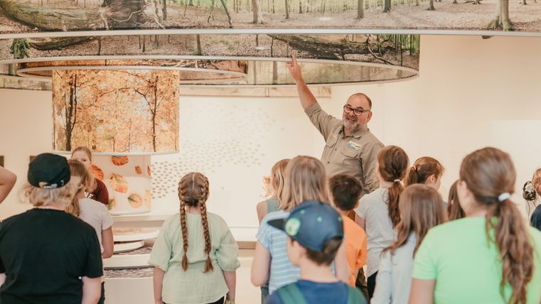A group of children is listening to a teacher who is speaking in a room with forest pictures. The atmosphere is educational and curious.