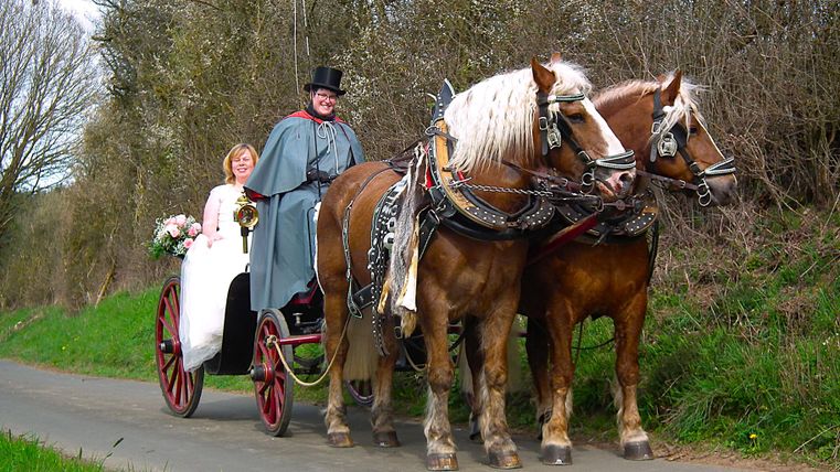 Two horses are pulling a carriage, in which a bride and a coachman are sitting.