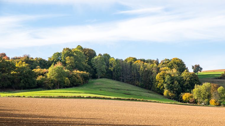 Landschap met velden en bomen onder een blauwe lucht.