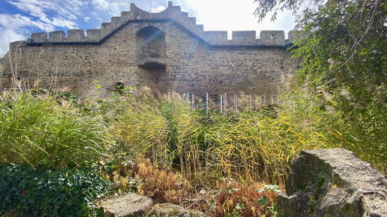 Hohe Stadtmauer Hillesheim unter blauem Himmel und hinter dichten Sträuchern und Steinen in der angrenzenden Parkanlage.