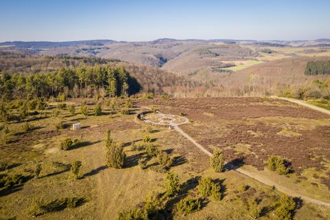Luftaufnahme einer Wacholderheide im Sommer