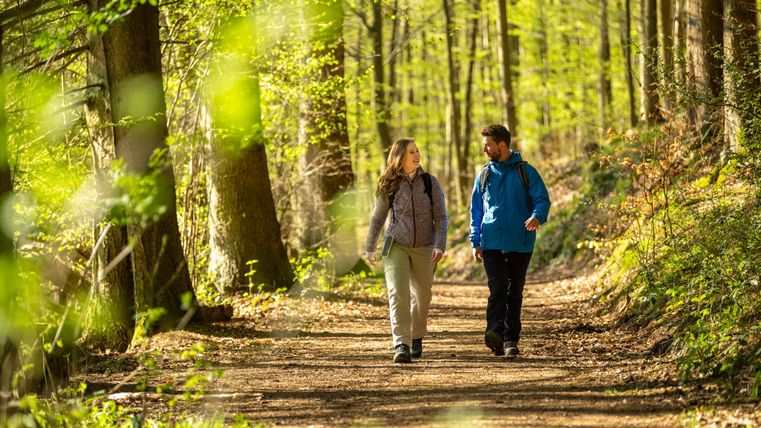 Two people are hiking on a forest path. Surrounded by green trees and natural light, they enjoy the fresh air.