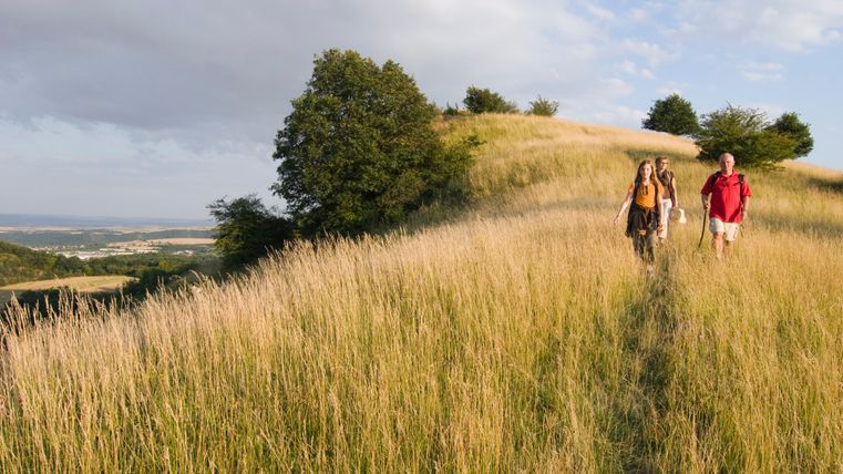 Drei Personen wandern auf einem grasbewachsenen Hügelpfad bei sonnigem Wetter.
