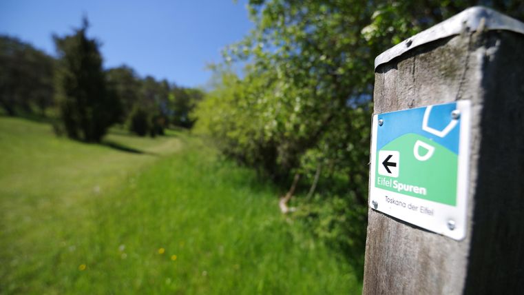 Sentiers de randonnée autour de l'Eifelsteig et de la vallée de Lambert.