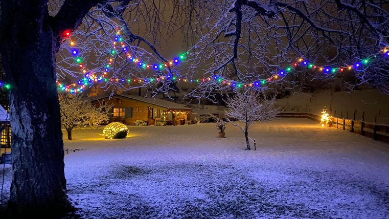 Weihnachtszeit