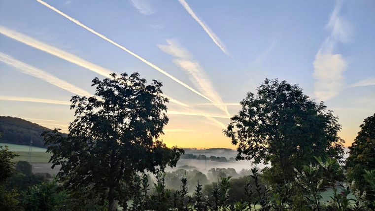 Ein malerischer Sonnenaufgang mit vielen Wolkenzügen über einer nebligen Landschaft. Zwei Bäume rahmen die Szenerie ein und verleihen ihr eine ruhige Atmosphäre.
