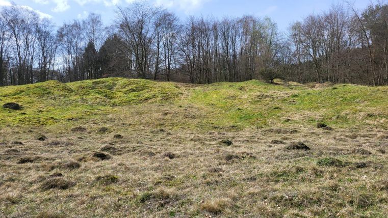 Une prairie verte avec des collines douces et quelques arbres à l'arrière-plan. Le ciel est partiellement nuageux et il brille d'une lumière éclatante.