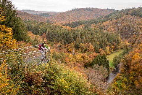 Two people on a viewing platform with a view of an autumnal valley.