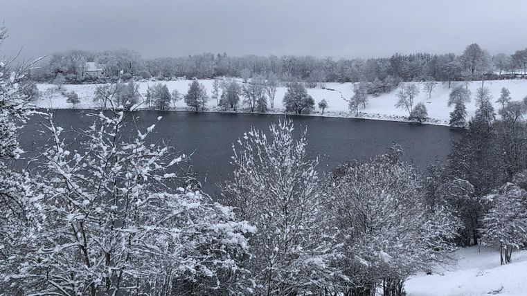Ein winterlicher See umgeben von schneebedeckten Bäumen. Der Himmel ist grau und bewölkt.