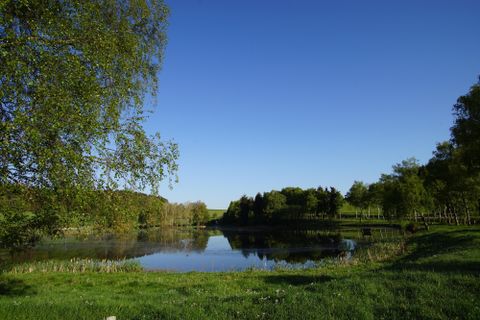Ein ruhiger See umgeben von Bäumen und grünen Wiesen. Der klare blaue Himmel reflektiert sich im Wasser.