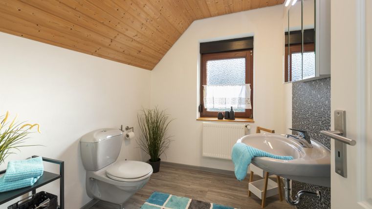 Een moderne badkamer met een hellend houten plafond. Het bevat een toilet, een wastafel en kamerplanten voor een frisse accent.