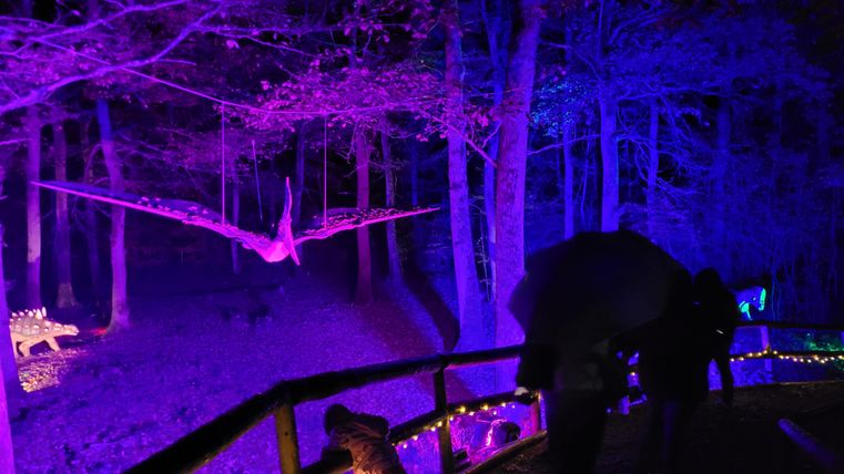 Une forêt faiblement éclairée avec des lumières violettes et bleues. À l'arrière-plan, des installations lumineuses de dinosaures volent à travers les arbres.