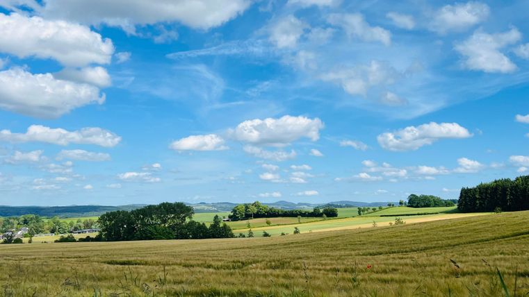 Eine weite Landschaft mit goldenem Feld und sanften Hügeln. Der Himmel ist blau und voller fluffy Wolken.