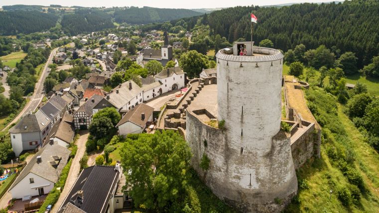 Aerial view of Reifferscheid Castle with surrounding village and forest.