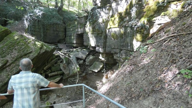 Een man staat voor een met mos bedekte rotsformatie in het bos.