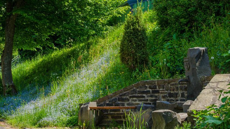 Mit Stein eingefasste Quelle in einem grünen Wald an einer Wiese