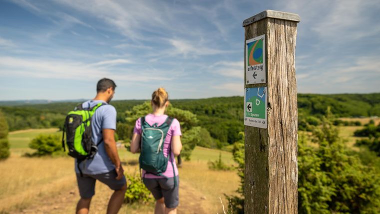 Deux randonneurs se tiennent sur une colline et profitent de la vue sur le paysage. À côté d'eux se trouve un panneau directionnel avec différents itinéraires de randonnée.