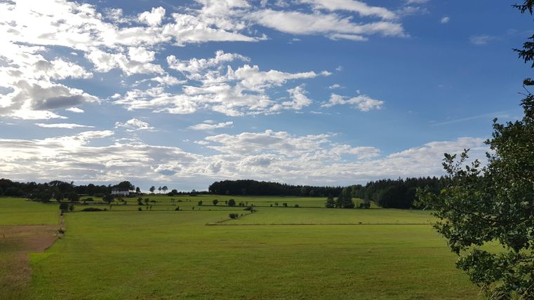 Eine weite Wiese unter einem blauen Himmel mit vielen Wolken. Im Hintergrund sind Bäume und eine sanfte Hügellandschaft zu sehen.