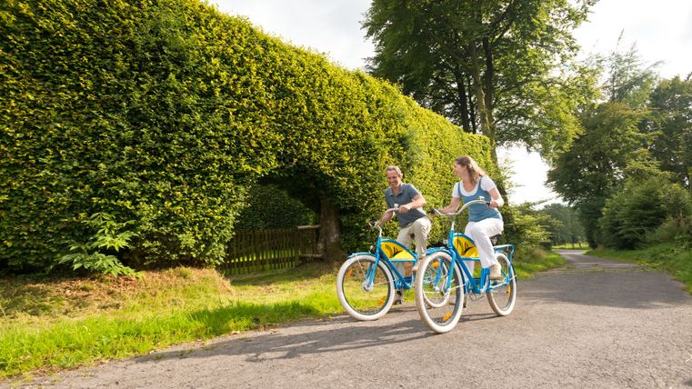Deux personnes roulent sur des vélos bleus le long d'une haute haie de hêtres près de Monschau-Kalterherberg.